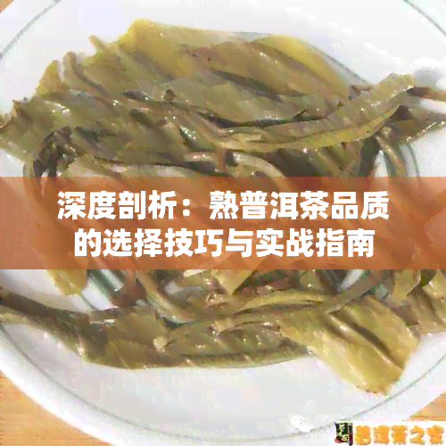 深度剖析：熟普洱茶品质的选择技巧与实战指南