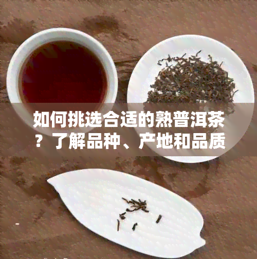 如何挑选合适的熟普洱茶？了解品种、产地和品质要点的全方位指南