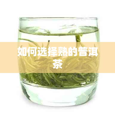 如何选择熟的普洱茶