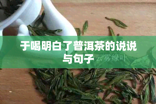 于喝明白了普洱茶的说说与句子