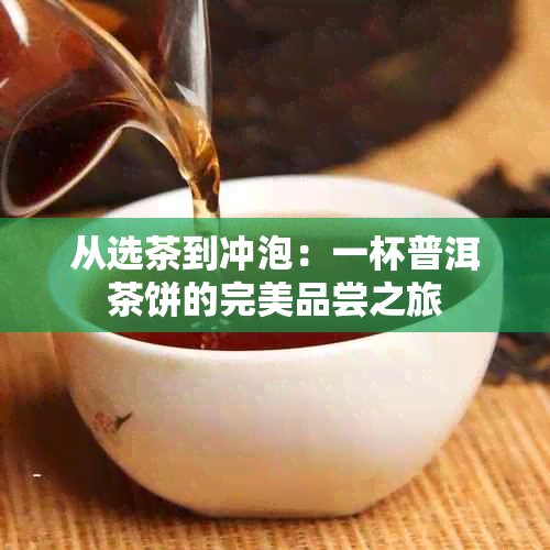 从选茶到冲泡：一杯普洱茶饼的完美品尝之旅