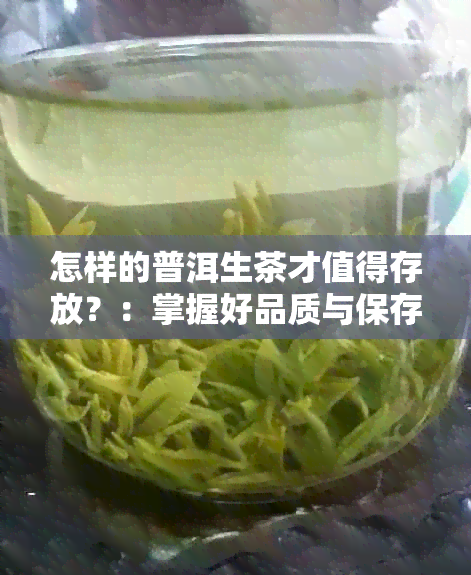 怎样的普洱生茶才值得存放？：掌握好品质与保存技巧，品味真正的好茶