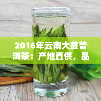 2016年云南大益普洱茶：产地直供，品质上乘，限时批发与促销活动