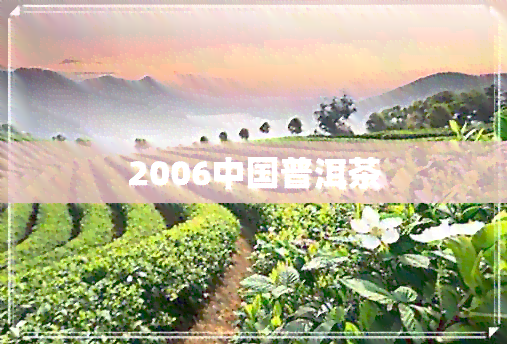 2006中国普洱茶