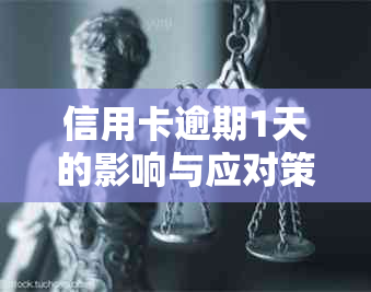 信用卡逾期1天的影响与应对策略：了解逾期后果及如何尽快还款