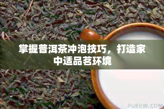 掌握普洱茶冲泡技巧，打造家中适品茗环境