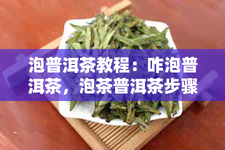 泡普洱茶教程：咋泡普洱茶，泡茶普洱茶步骤