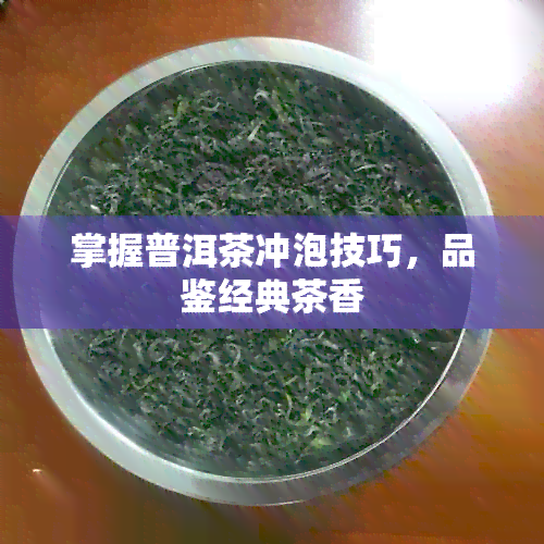 掌握普洱茶冲泡技巧，品鉴经典茶香