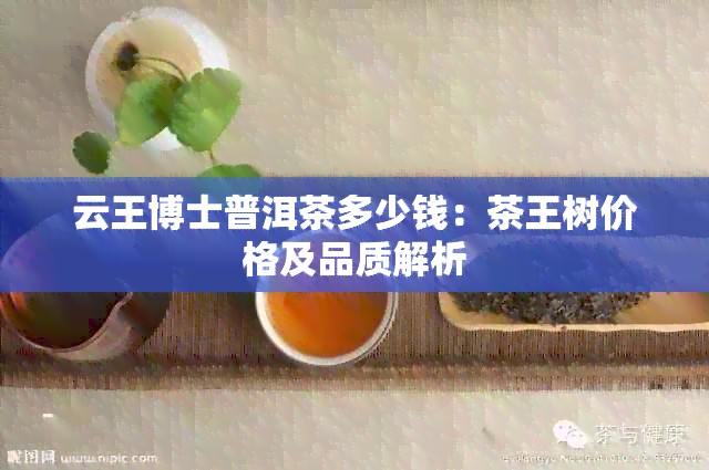 云王博士普洱茶多少钱：茶王树价格及品质解析