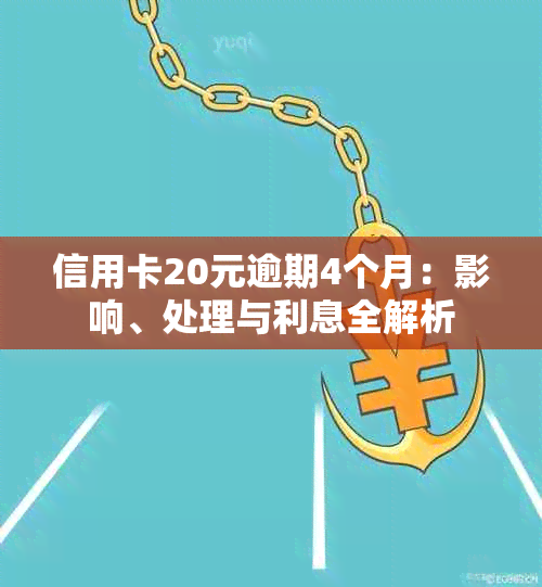 信用卡20元逾期4个月：影响、处理与利息全解析