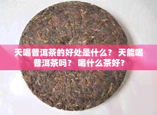 天喝普洱茶的好处是什么？ 天能喝普洱茶吗？ 喝什么茶好？