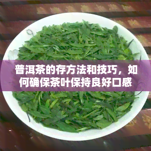 普洱茶的存方法和技巧，如何确保茶叶保持良好口感？