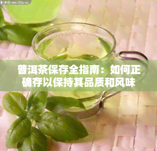 普洱茶保存全指南：如何正确存以保持其品质和风味