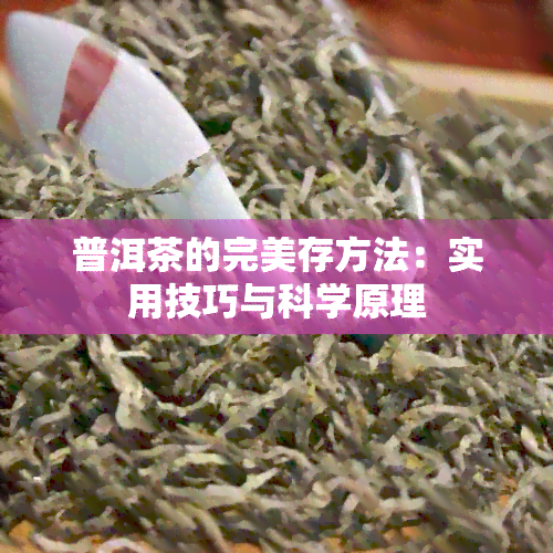 普洱茶的完美存方法：实用技巧与科学原理