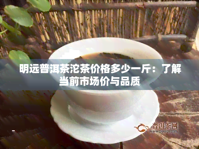 明远普洱茶沱茶价格多少一斤：了解当前市场价与品质