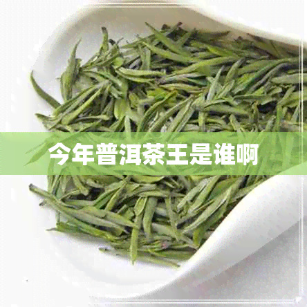 今年普洱茶王是谁啊