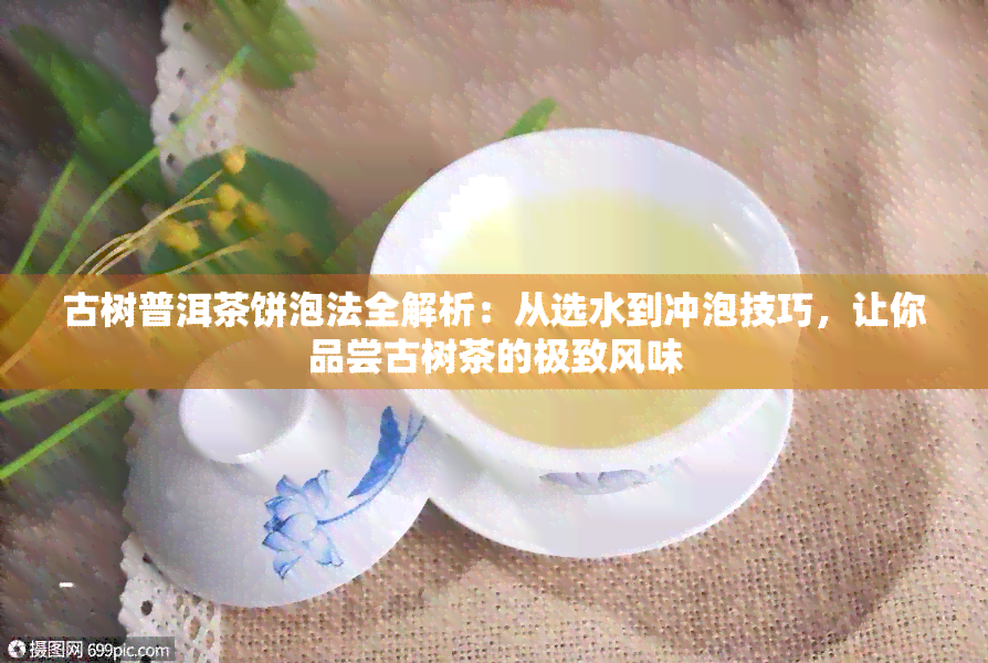 古树普洱茶饼泡法全解析：从选水到冲泡技巧，让你品尝古树茶的极致风味