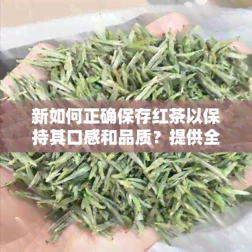 新如何正确保存红茶以保持其口感和品质？提供全面的存建议