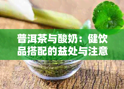 普洱茶与酸奶：健饮品搭配的益处与注意事项