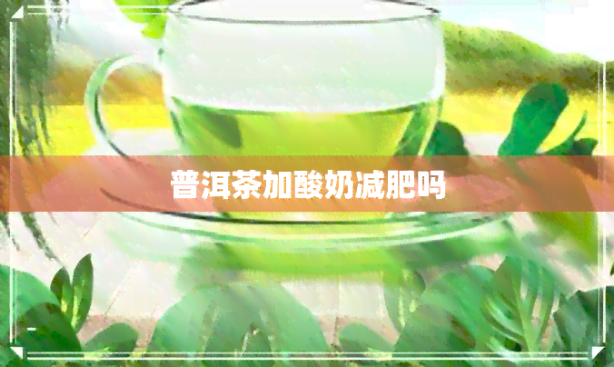 普洱茶加酸奶减肥吗