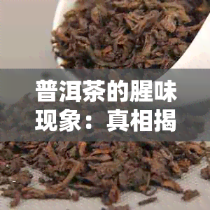 普洱茶的腥味现象：真相揭示，味道正常还是假象？