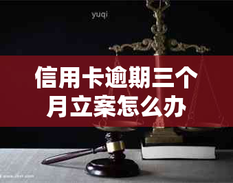 信用卡逾期三个月立案怎么办