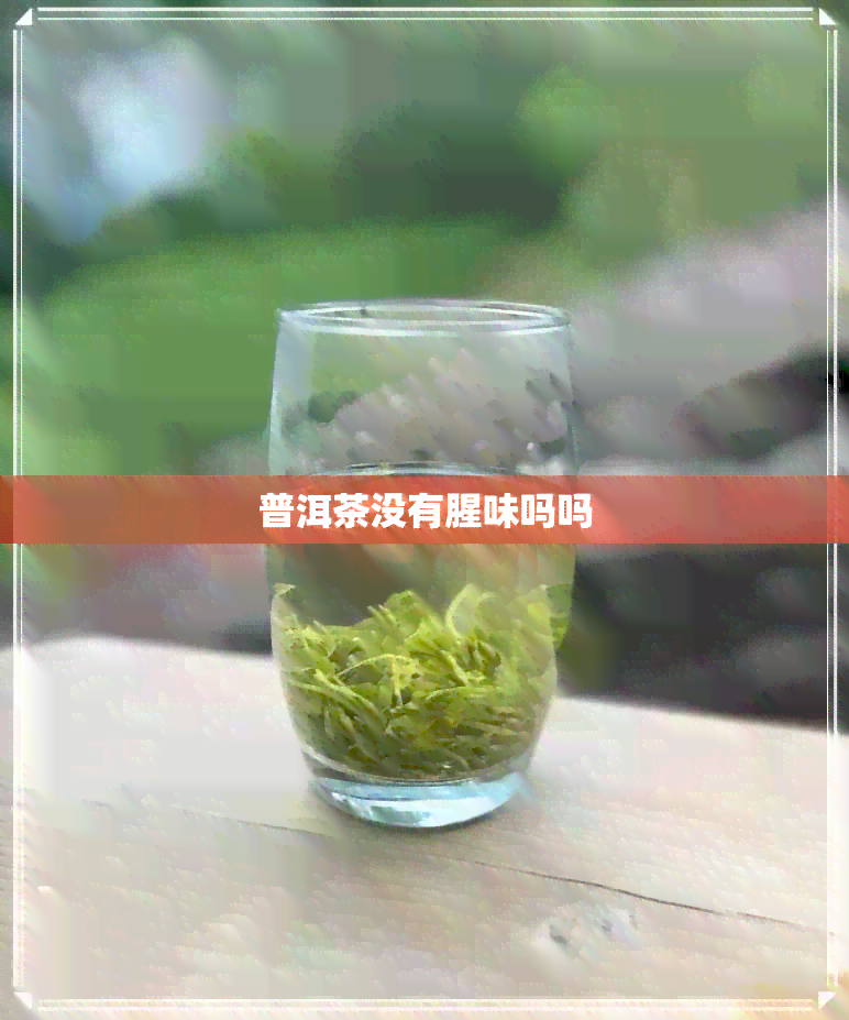 普洱茶没有腥味吗吗