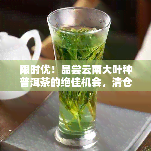 限时优！品尝云南大叶种普洱茶的绝佳机会，清仓低价出售