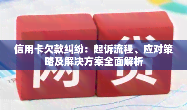 信用卡欠款纠纷：起诉流程、应对策略及解决方案全面解析