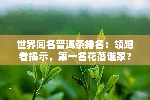 世界闻名普洱茶排名：领跑者揭示，之一名花落谁家？