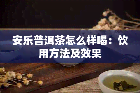 安乐普洱茶怎么样喝：饮用方法及效果