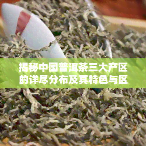 揭秘中国普洱茶三大产区的详尽分布及其特色与区别