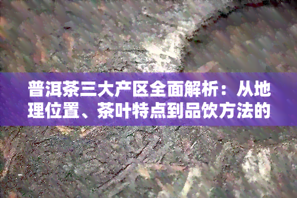 普洱茶三大产区全面解析：从地理位置、茶叶特点到品饮方法的详细指南