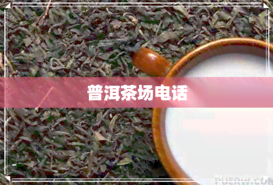 普洱茶场电话