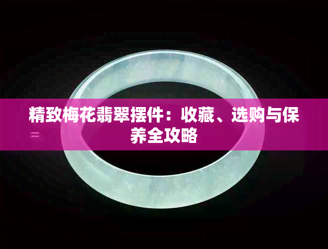 精致梅花翡翠摆件：收藏、选购与保养全攻略