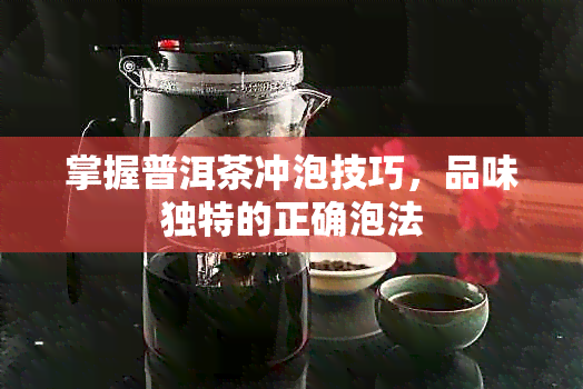 掌握普洱茶冲泡技巧，品味独特的正确泡法