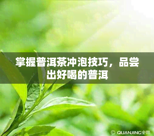 掌握普洱茶冲泡技巧，品尝出好喝的普洱