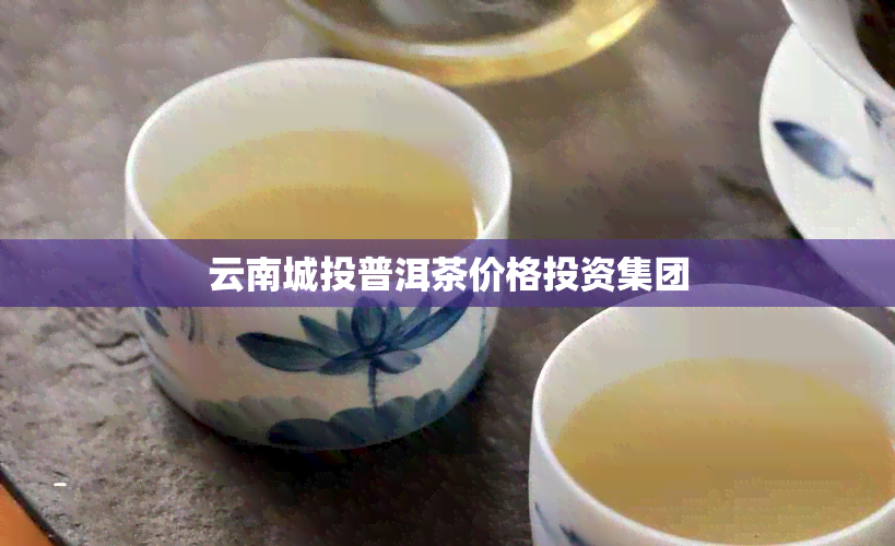 云南城投普洱茶价格投资集团