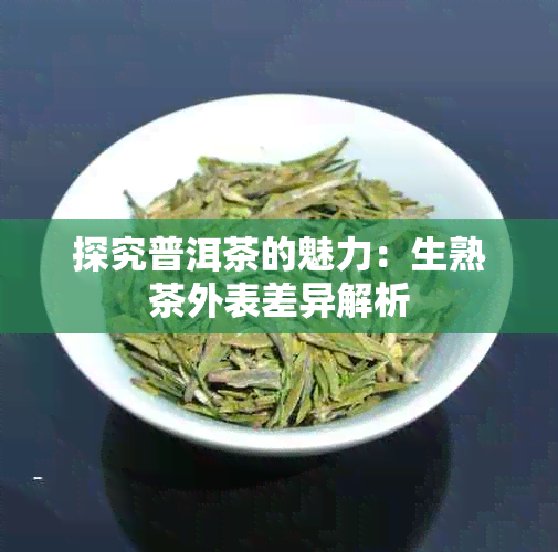 探究普洱茶的魅力：生熟茶外表差异解析