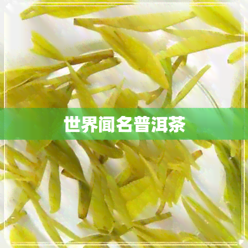 世界闻名普洱茶