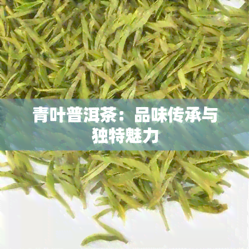 青叶普洱茶：品味传承与独特魅力