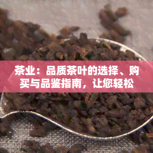 茶业：品质茶叶的选择、购买与品鉴指南，让您轻松享受茶文化