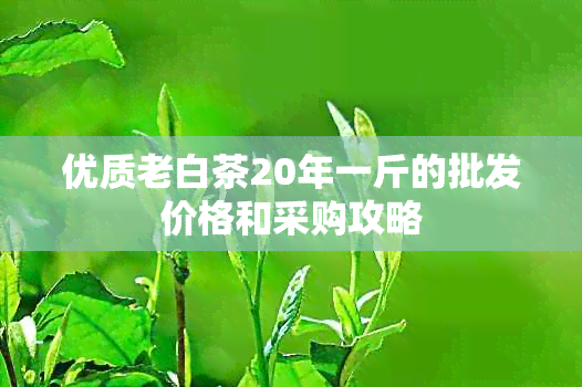 优质老白茶20年一斤的批发价格和采购攻略