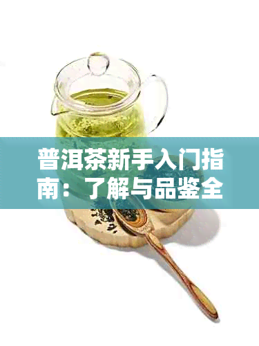 普洱茶新手入门指南：了解与品鉴全攻略