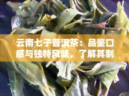 云南七子普洱茶：品鉴口感与独特风味，了解其制作工艺与品质