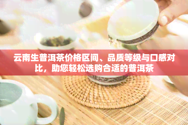 云南生普洱茶价格区间、品质等级与口感对比，助您轻松选购合适的普洱茶