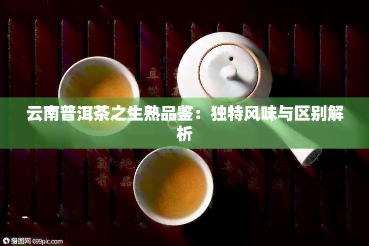 云南普洱茶之生熟品鉴：独特风味与区别解析