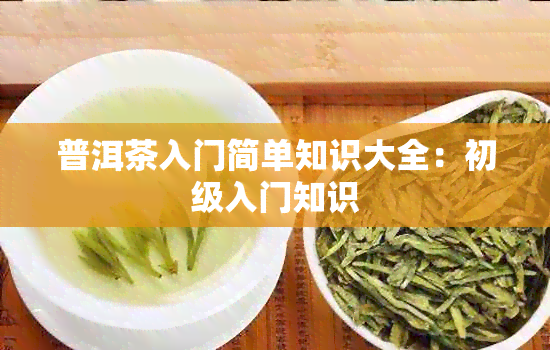 普洱茶入门简单知识大全：初级入门知识