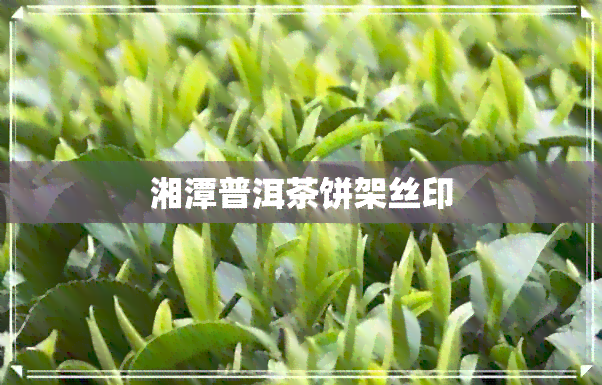 湘潭普洱茶饼架丝印