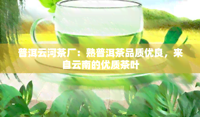 普洱云河茶厂：熟普洱茶品质优良，来自云南的优质茶叶